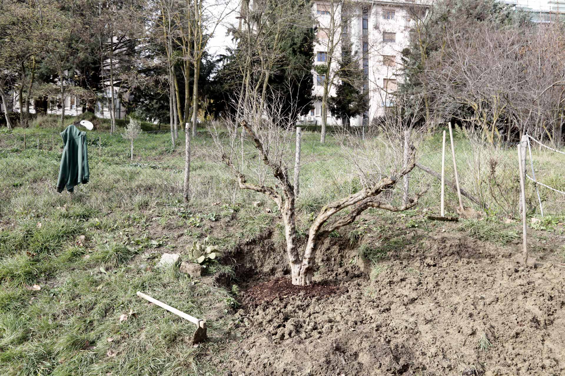 melograno dimora slaurenzana